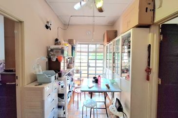 Anggerik Doritis @ Kota Kemuning