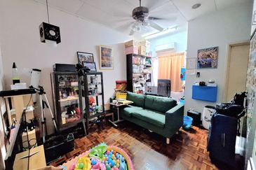 Anggerik Doritis @ Kota Kemuning