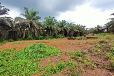 Melaka Pindah Alor Gajah Bungalow Land 5167 sqft For Sale Near Durian Tunggal