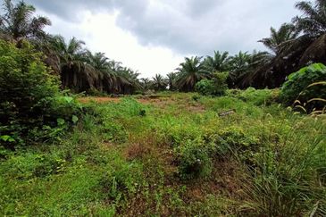 Melaka Pindah Alor Gajah Bungalow Land 5167 sqft For Sale Near Durian Tunggal