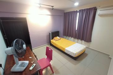 RUM PANGSA GAJAH BERANG