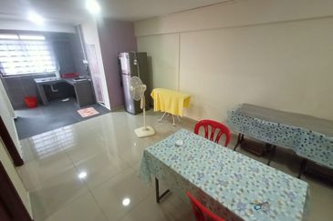 RUM PANGSA GAJAH BERANG