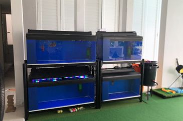 Emerald Bay @ Puteri harbour