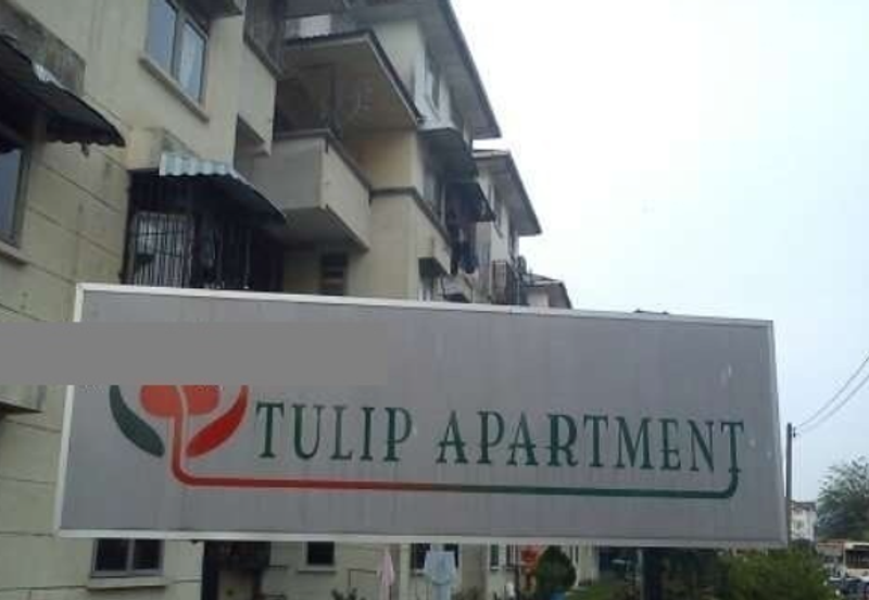 Tulip Apartment