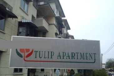 Tulip Apartment