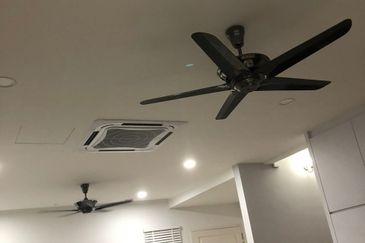 Tenderfields @ Eco Majestic