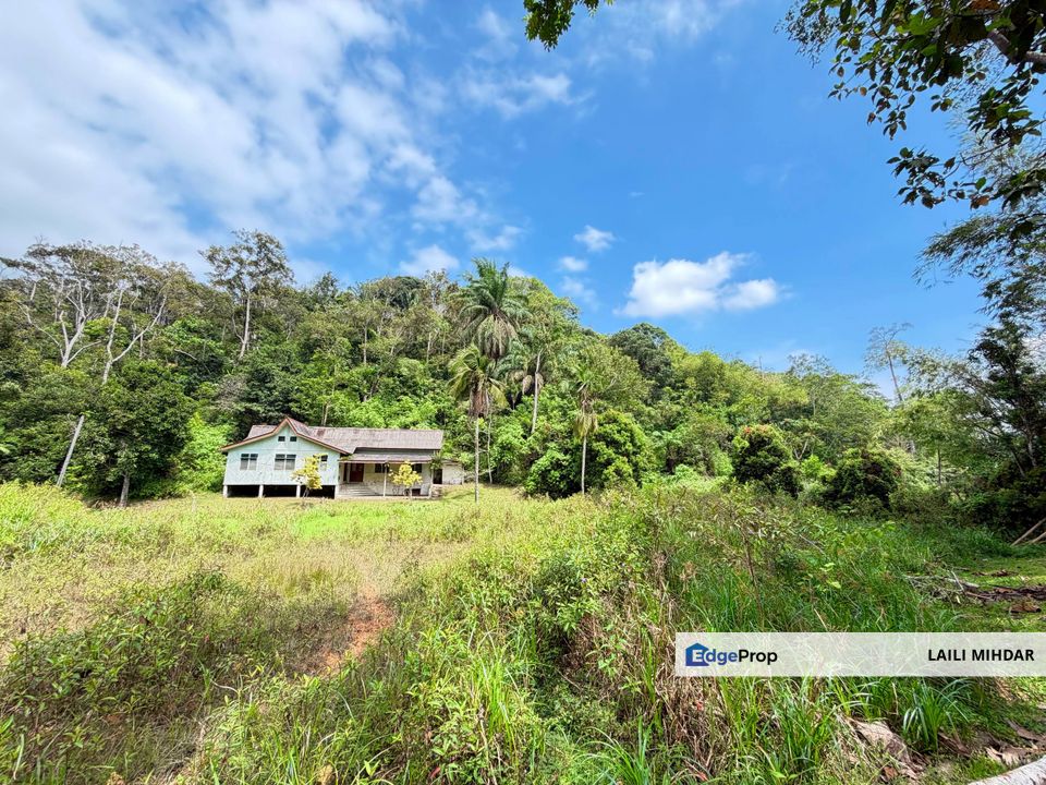 Janda Baik Ulu Cheringing Bentong Pahang Tanah Pertanian untuk di jual, Pahang, Bentong