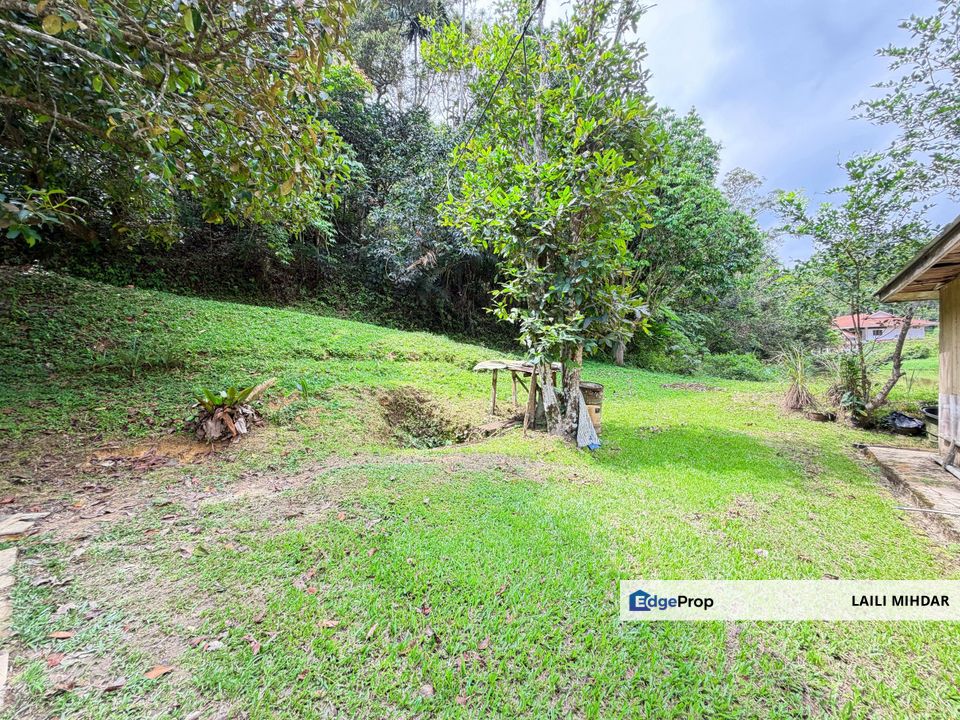 Janda Baik Ulu Cheringing Bentong Pahang Tanah Pertanian untuk di jual, Pahang, Bentong