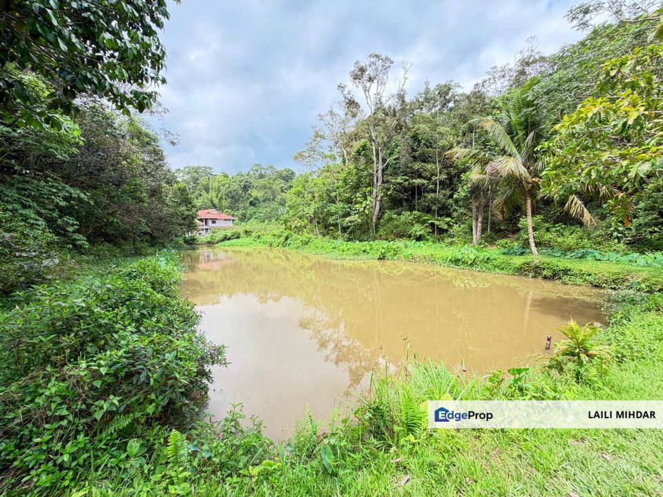 Janda Baik Ulu Cheringing Bentong Pahang Tanah Pertanian untuk di jual, Pahang, Bentong