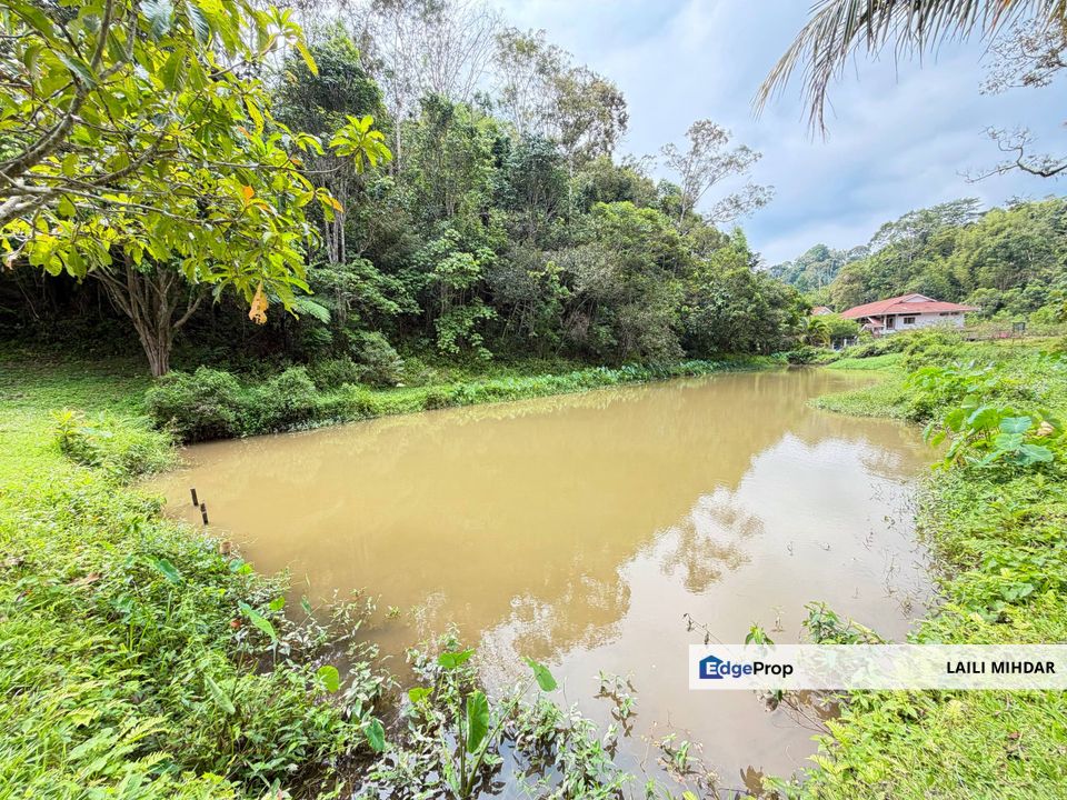 Janda Baik Ulu Cheringing Bentong Pahang Tanah Pertanian untuk di jual, Pahang, Bentong