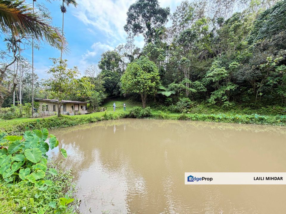 Janda Baik Ulu Cheringing Bentong Pahang Tanah Pertanian untuk di jual, Pahang, Bentong