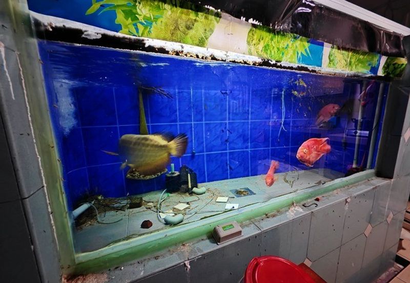 Move In Condition Full Loan First Garden Buluh Emas Buntong Silibin Ria Pertama