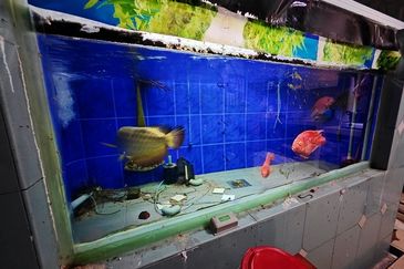 Move In Condition Full Loan First Garden Buluh Emas Buntong Silibin Ria Pertama