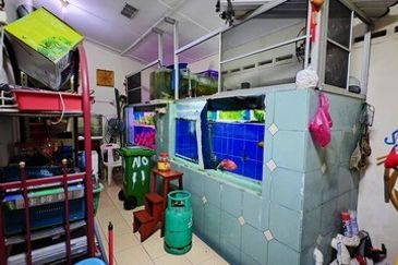 Move In Condition Full Loan First Garden Buluh Emas Buntong Silibin Ria Pertama