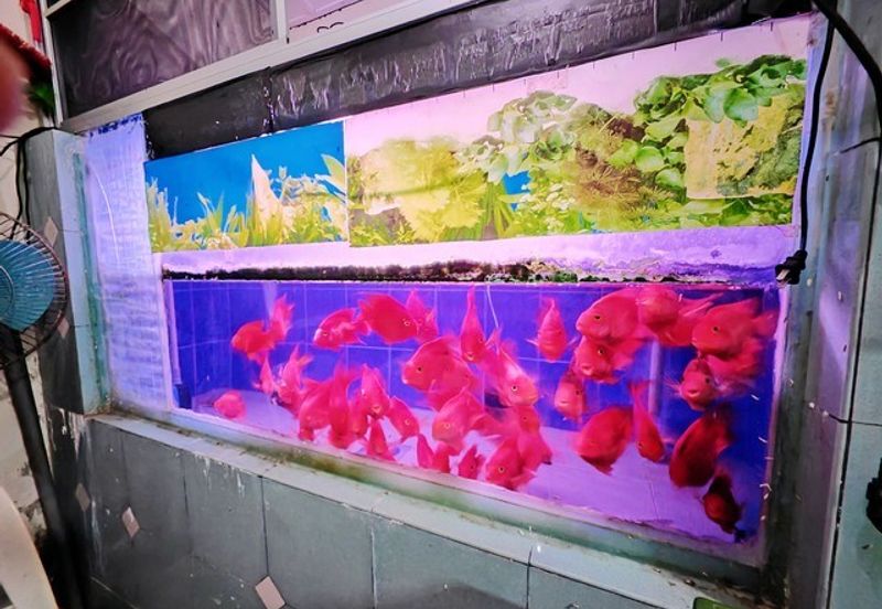 Move In Condition Full Loan First Garden Buluh Emas Buntong Silibin Ria Pertama