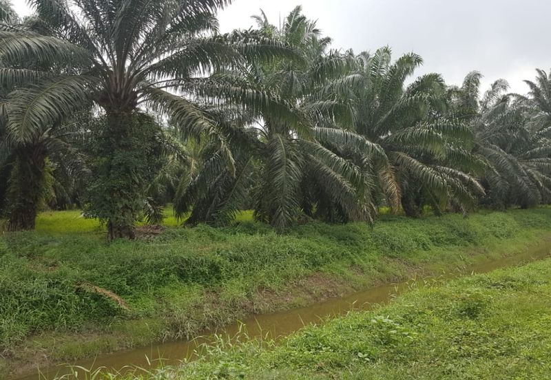 Telok Panglima Garang