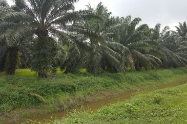 Telok Panglima Garang