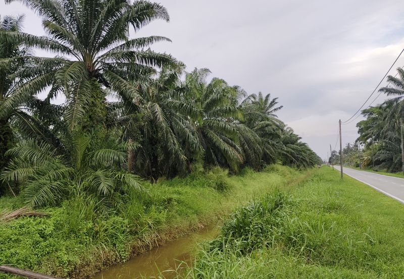 Telok Panglima Garang