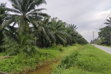Telok Panglima Garang