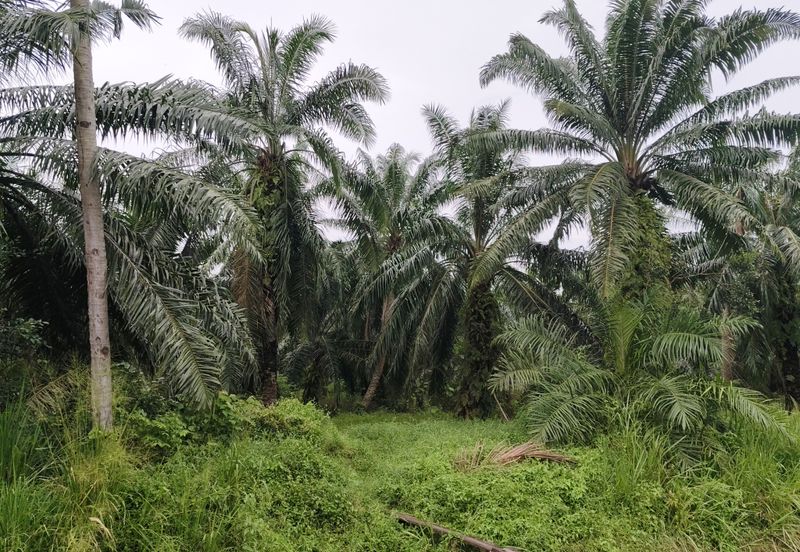Telok Panglima Garang