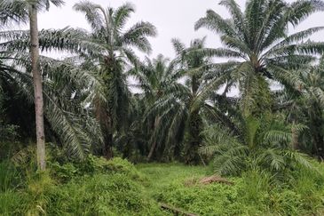 Telok Panglima Garang