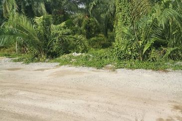 Land at Telok Panglima Garang Kuala Langat Klang For Sale