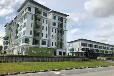 Forest Hill Apartment