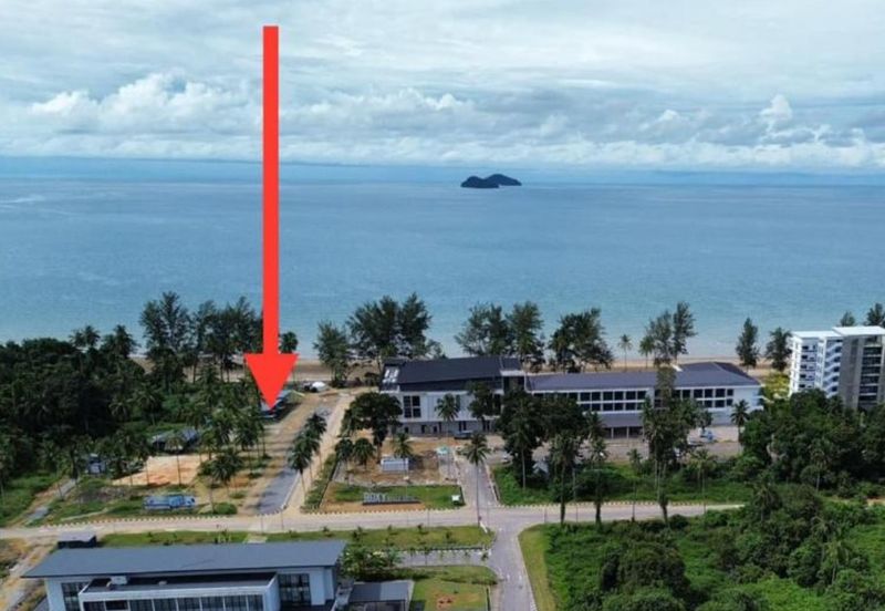 TorQuay @Roxy Sematan