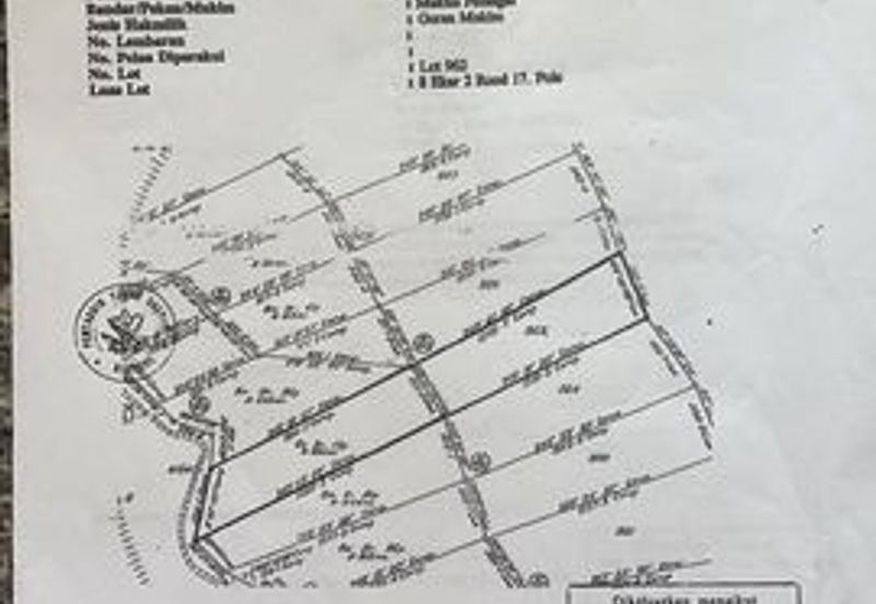Malaysia’s King of Fruit orchard farm- Musang King and Black Thors Durian Orchard 馬來西亞果園之王——貓山王和黑雷神榴蓮園