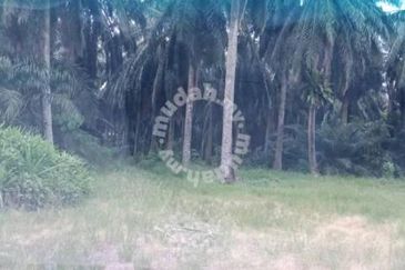 Nibong Tebal Jalan Changkat First Grade Land for sale