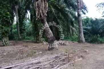 Nibong Tebal Jalan Changkat First Grade Land for sale