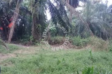 Nibong Tebal Jalan Changkat First Grade Land for sale