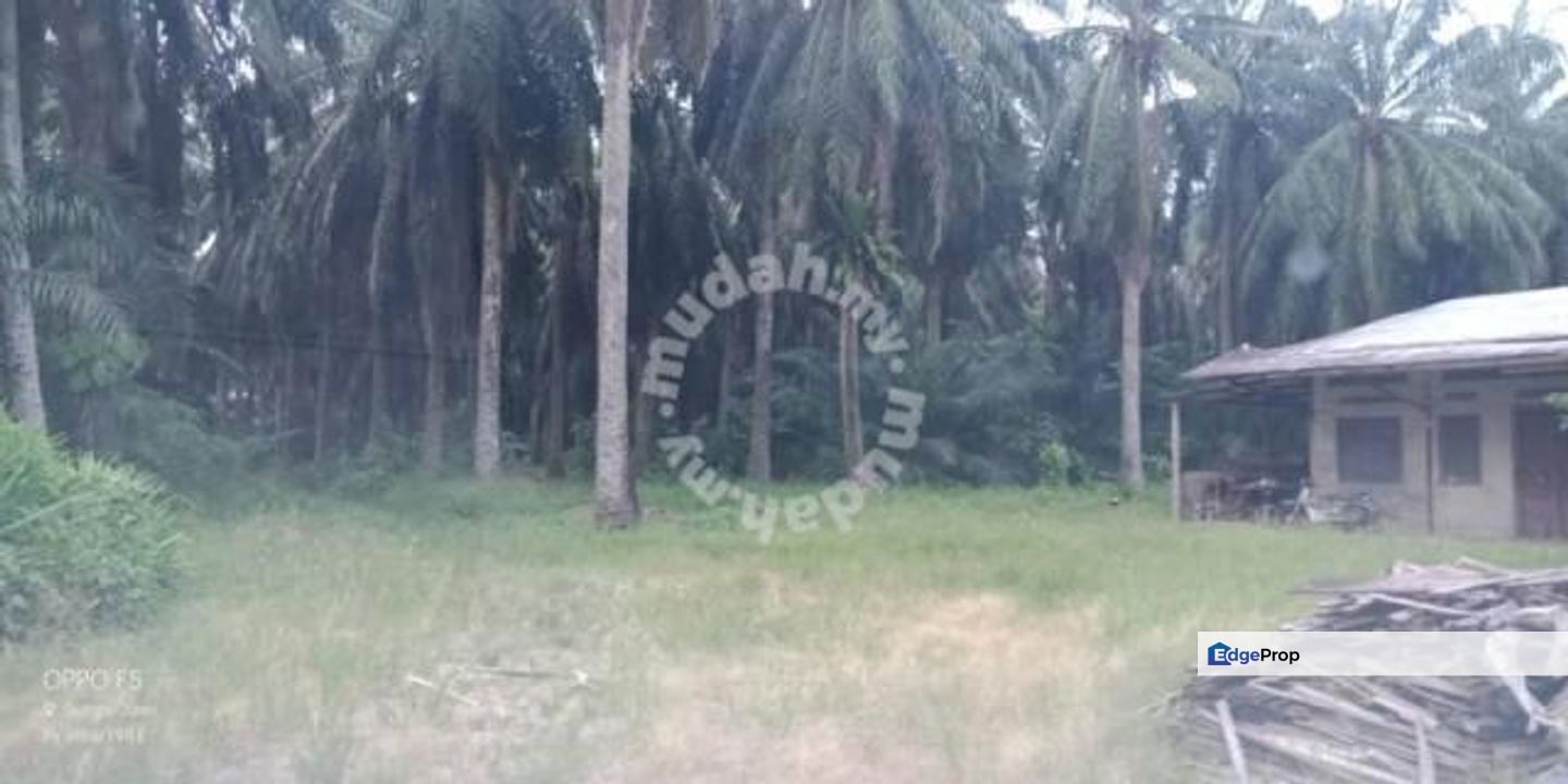 Nibong Tebal Jalan Changkat First Grade Land for sale, Penang, Nibong Tebal