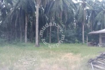 Nibong Tebal Jalan Changkat First Grade Land for sale