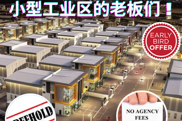 Palmera Bukit Minyak