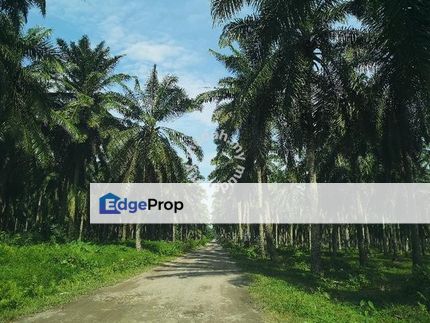 Nibong Tebal Jalan Changkat First Grade Land for sale, Penang, Nibong Tebal