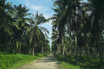 Nibong Tebal Jalan Changkat First Grade Land for sale