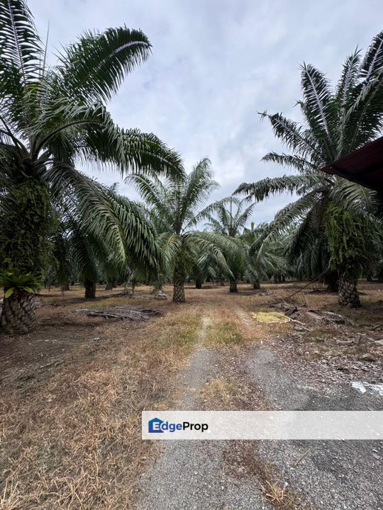 Jalan Changkat Nibong Tebal 1.9 acres First grade land industrial zoning, Penang, Nibong Tebal