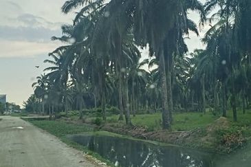 Nibong Tebal Near BKIP2 lan 19acres for sale