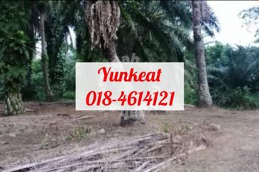 Nibong Tebal Jalan Changkat First Grade Land for sale 4acres