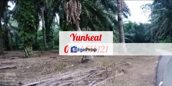 Nibong Tebal Jalan Changkat First Grade Land for sale 4acres, Penang, Nibong Tebal