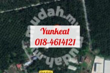 Nibong Tebal Jalan Changkat First Grade Land for sale 4acres