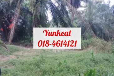 Nibong Tebal Jalan Changkat First Grade Land for sale 4acres