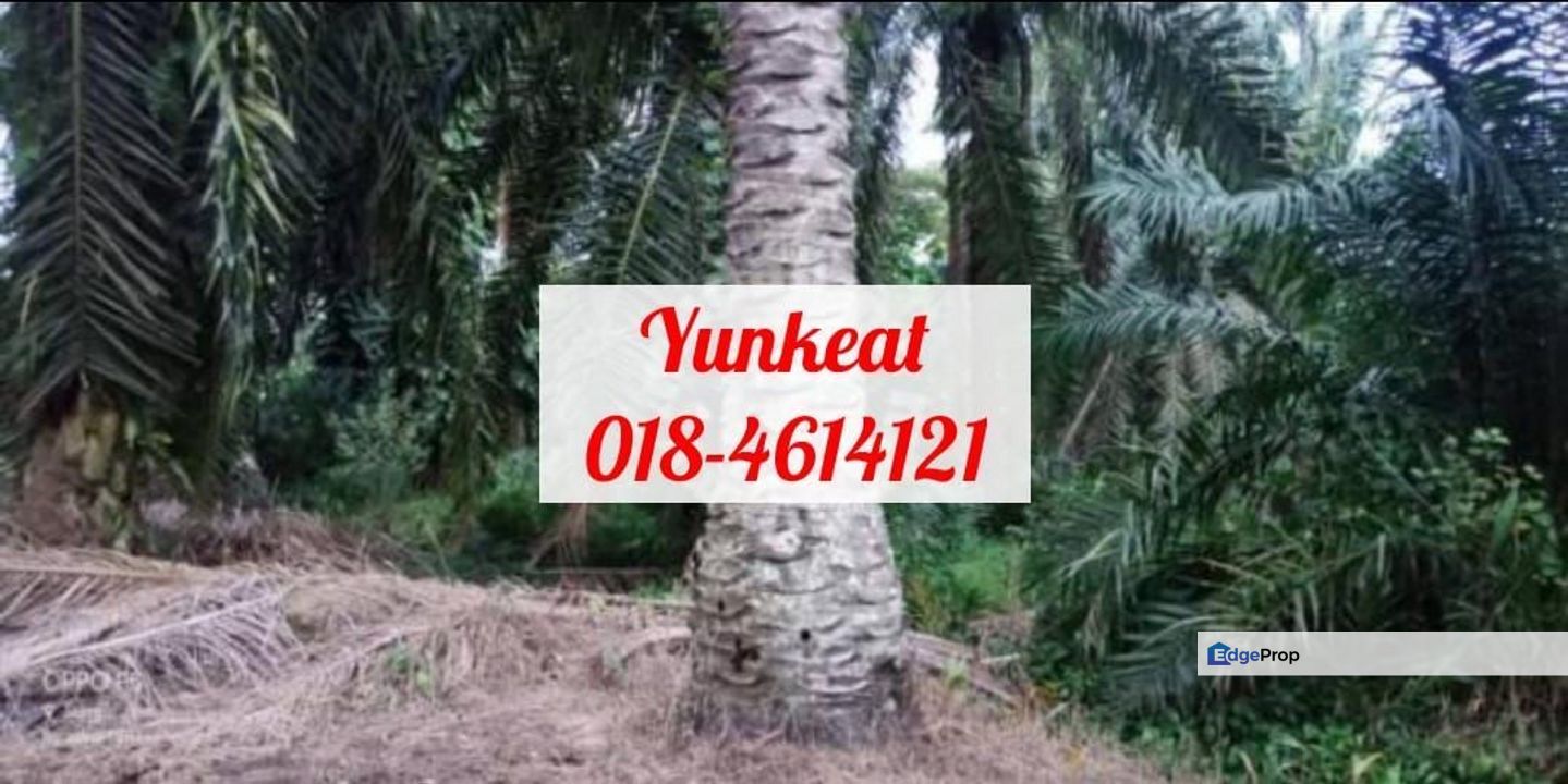 Nibong Tebal Jalan Changkat First Grade Land for sale 4acres, Penang, Nibong Tebal