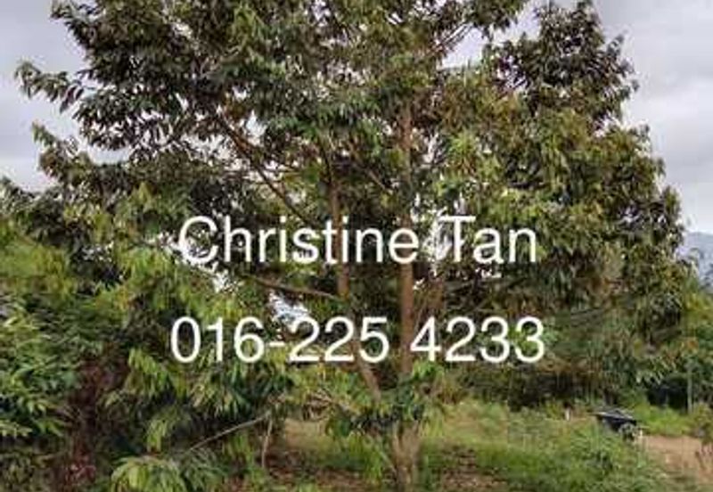 Bentong (Chamang Bukit Puma) 16 acres durian land