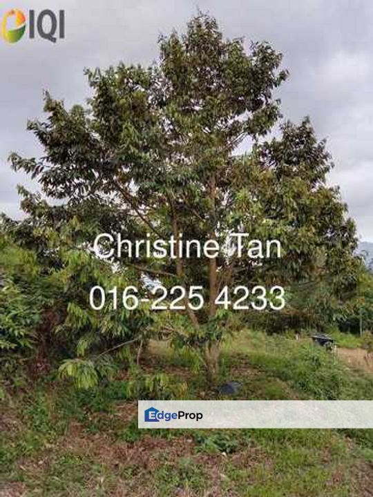 Bentong (Chamang Bukit Puma) 16 acres durian land, Pahang, Bentong