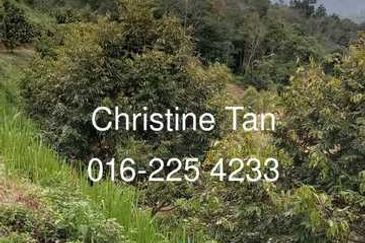 Bentong (Chamang Bukit Puma) 16 acres durian land