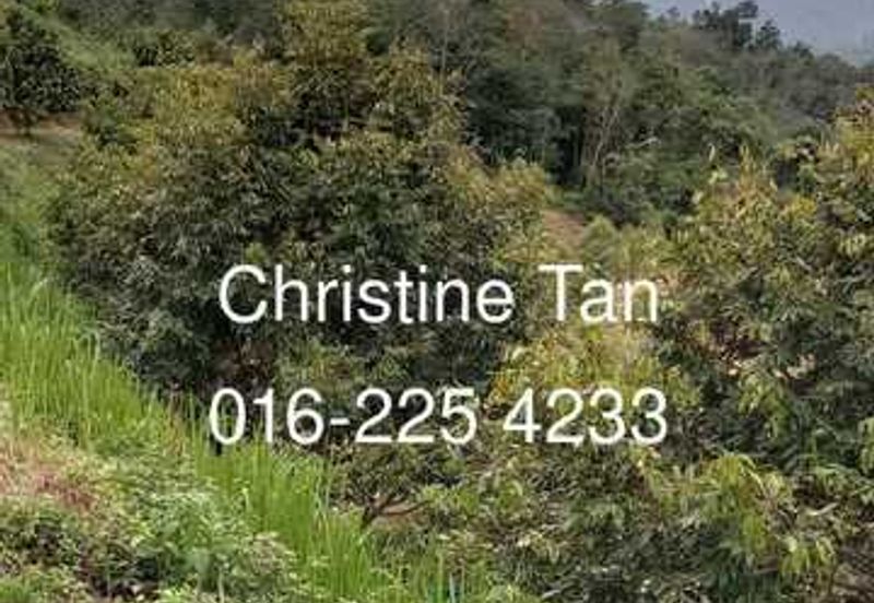Bentong (Chamang Bukit Puma) 16 acres durian land