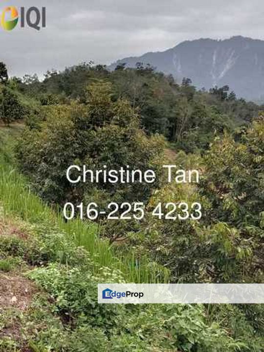 Bentong (Chamang Bukit Puma) 16 acres durian land, Pahang, Bentong