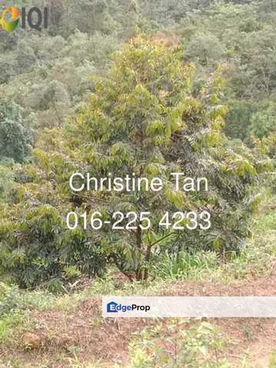 Bentong (Chamang Bukit Puma) 16 acres durian land, Pahang, Bentong